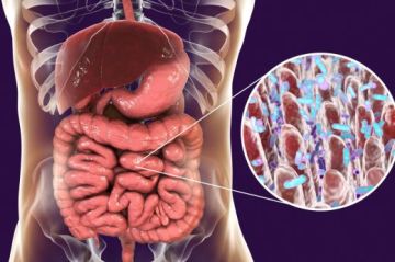 Microbiota intestinal: El ecosistema dentro de ti